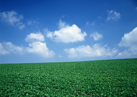 田园田野绿色原野图片