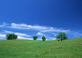 田园田野绿色原野图片