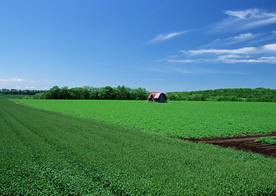 田园田野绿色原野图片