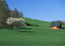 田园田野绿色原野图片
