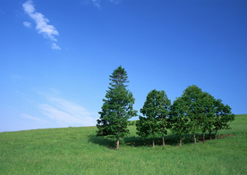 田园田野绿色原野图片