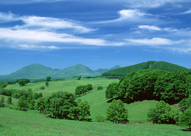 田园田野绿色原野图片