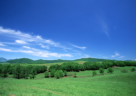 田园田野绿色原野图片