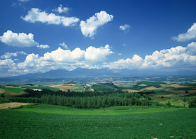 田园田野绿色原野图片