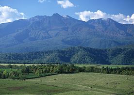 田园田野绿色原野图片