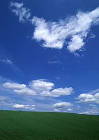 田园田野绿色原野图片