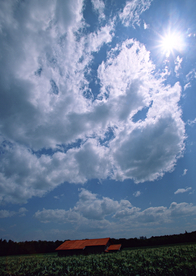 田园田野绿色原野图片