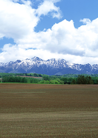 田园田野绿色原野图片