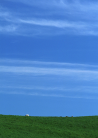 田园田野绿色原野图片