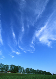 田园田野绿色原野图片