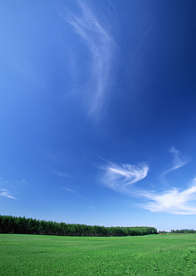 田园田野绿色原野图片