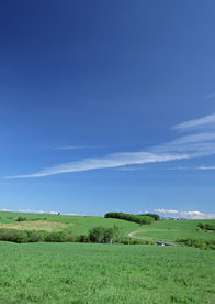 田园田野绿色原野图片