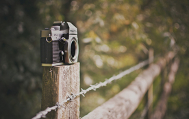 栅栏篱笆木栏围栏围墙图片