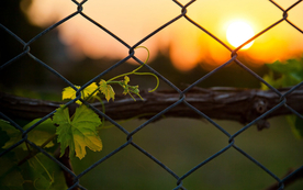 栅栏篱笆木栏围栏围墙图片