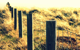 栅栏篱笆木栏围栏围墙图片