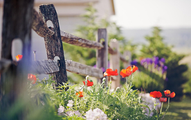 栅栏篱笆木栏围栏围墙图片