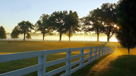 栅栏篱笆木栏围栏围墙图片