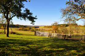 栅栏篱笆木栏围栏围墙图片