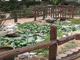 栅栏篱笆木栏围栏围墙图片