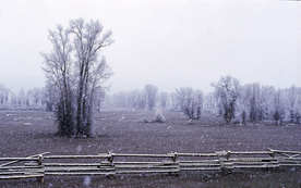 栅栏篱笆木栏围栏围墙图片