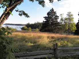 栅栏篱笆木栏围栏围墙图片