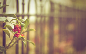 栅栏篱笆木栏围栏围墙图片