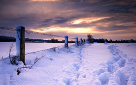 栅栏篱笆木栏围栏围墙图片