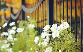 栅栏篱笆木栏围栏围墙图片