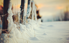 栅栏篱笆木栏围栏围墙图片