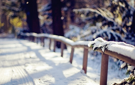 栅栏篱笆木栏围栏围墙图片