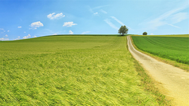 田园田野绿色原野图片