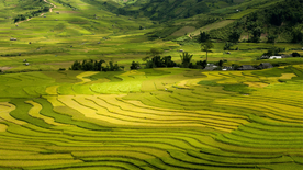 田园田野绿色原野图片