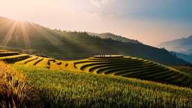 田园田野绿色原野图片