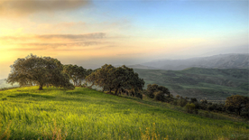 田园田野绿色原野图片