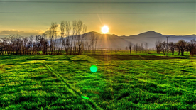 田园田野绿色原野图片