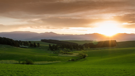 田园田野绿色原野图片