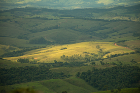 田园田野绿色原野图片