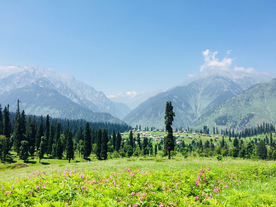 田园田野绿色原野图片