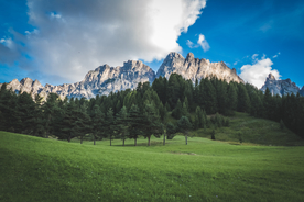 田园田野绿色原野图片