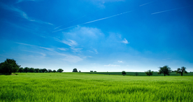 田园田野绿色原野图片