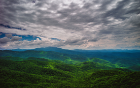 田园田野绿色原野图片