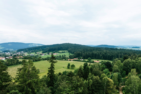 田园田野绿色原野图片