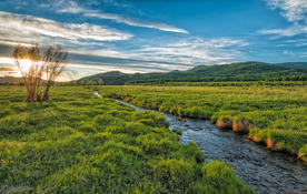 田园田野绿色原野图片
