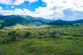 田园田野绿色原野图片