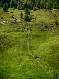 田园田野绿色原野图片