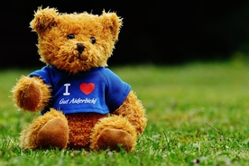 玩具熊毛绒玩具图片