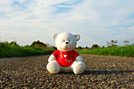 玩具熊毛绒玩具图片