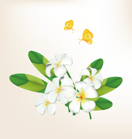 商务人物 漫画动画 动漫壁纸