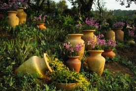 南宁青秀山一角