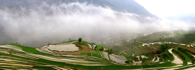 环江梯田